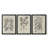 " Antique Black And White Botanical VII " 3 - Pieces Painting Print-303078022-303078041