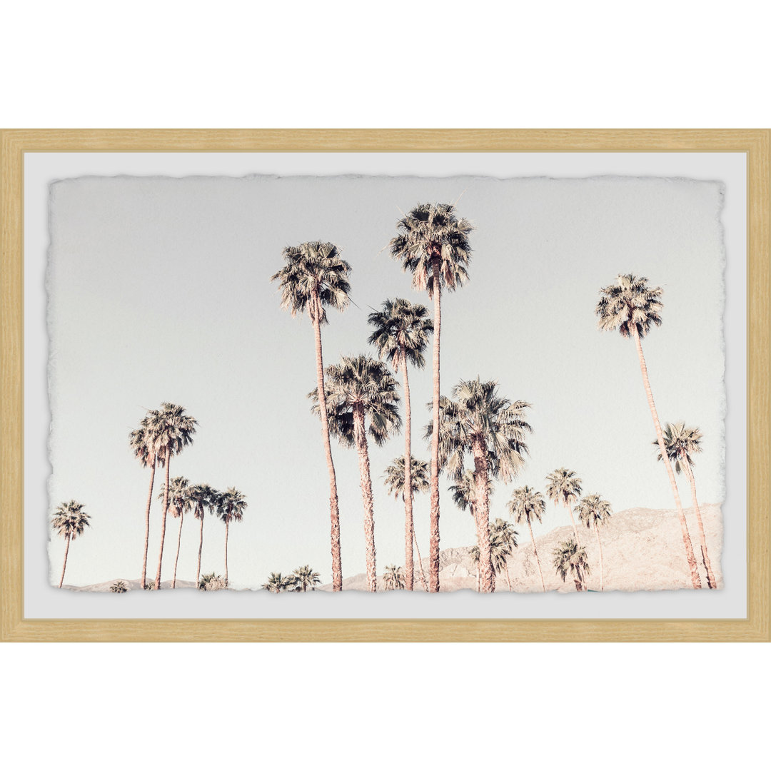 'Palm Tree Overload' Framed Print Beachcrest Home™ Frame