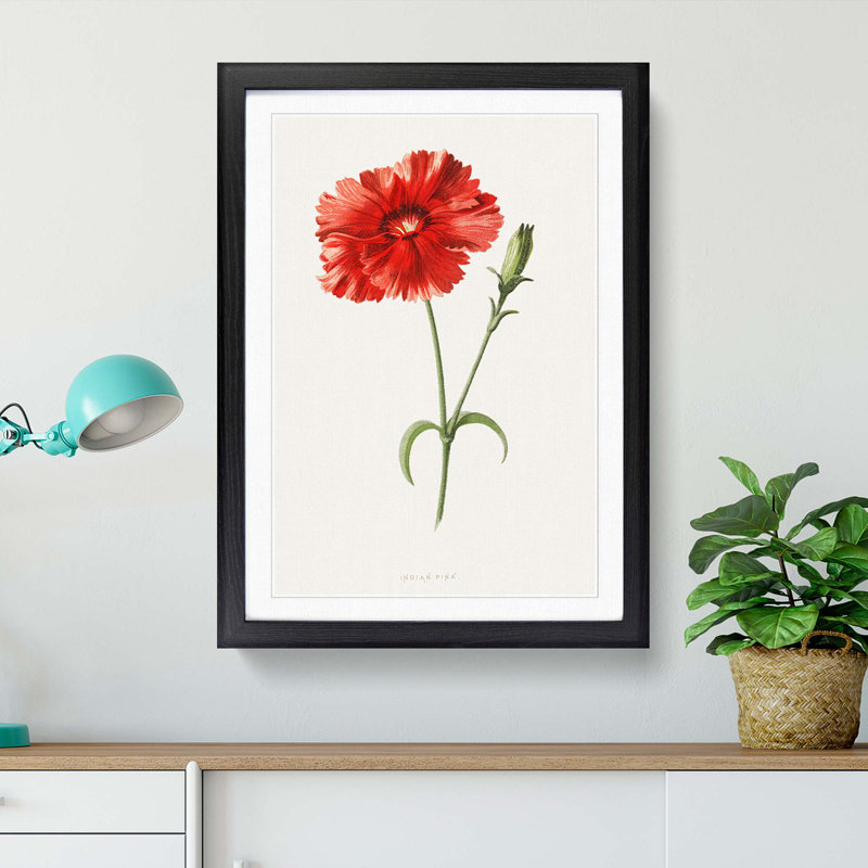 Pink Flower by Frederick Edward Hulme - Picture Frame Painting Print, 48cm H x 36cm W x 2cm D, Black Framed