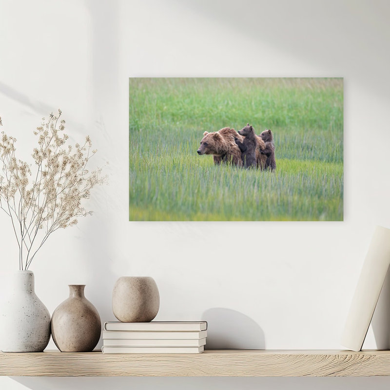 Mother Bear And Cubs Contemporary Bear Nature Wildlife Wall Art Print by Jeffrey C. Sink - 1 Piece Wrapped Canvas Wall Art