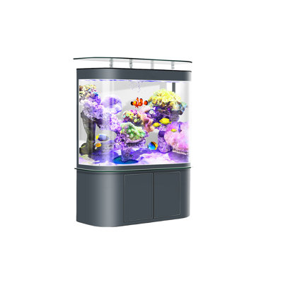 Aquarium Minimalist