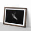 Sea Lion - Picture Frame Painting Print-55613973-55613968
