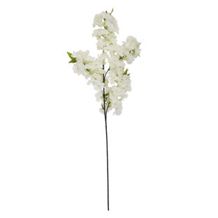 Arrangement
