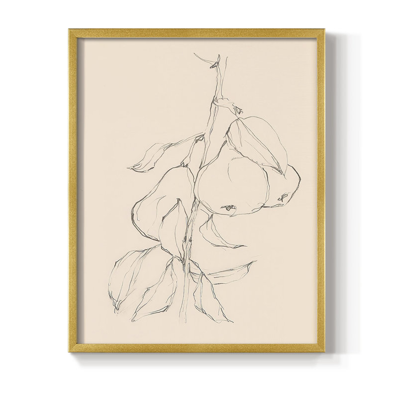 «Fruit Contour Study II», reproduction encadrée - bois massif, Or, H 10 po x l 8 po