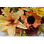 Douille mélangée 36 fleurs-1073783303
