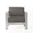 Coussin argenté / cadre gris est en rupture de stock