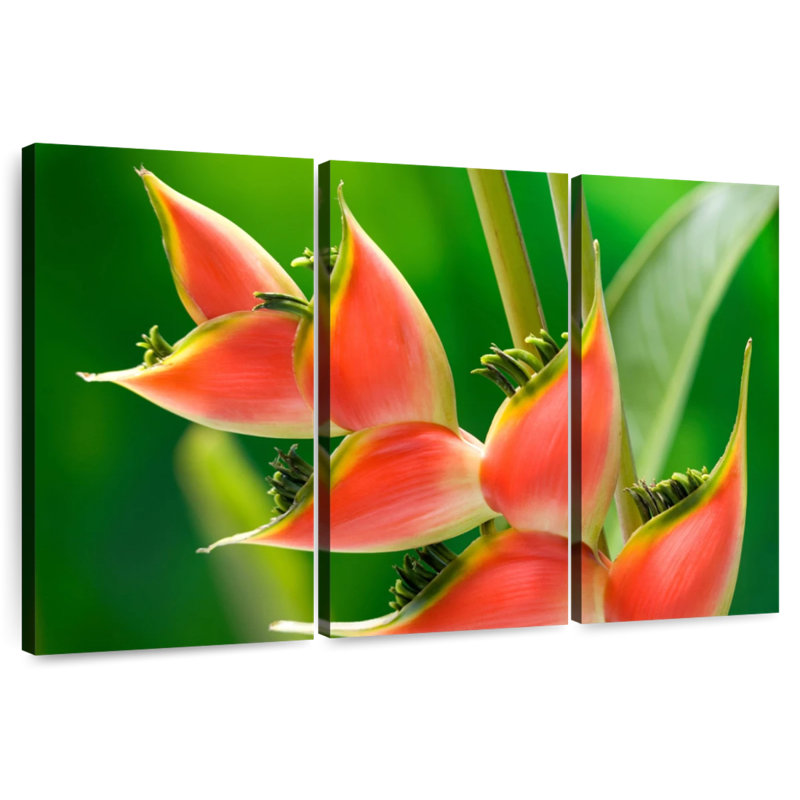 Harnek Heliconia Flower, 48" H x 74" W