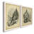 " The Larch " 2 - Pieces-120827172-120827169