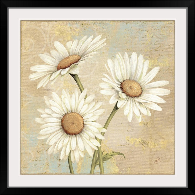 «Beautiful Daisies I» par Daphne Brissonnet, H 28 x l 28 po x P 1 po, Cadre noir