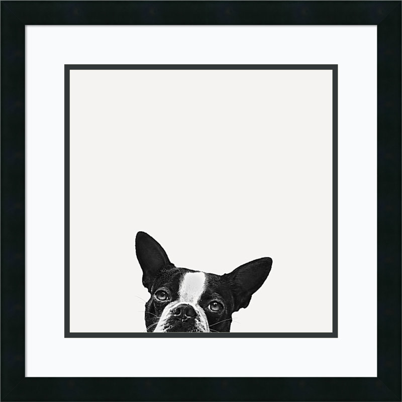 Loyalty (Dog) by Jon Bertelli - Photograph, 22" H x 22" W, Mezzanotte Matte Black