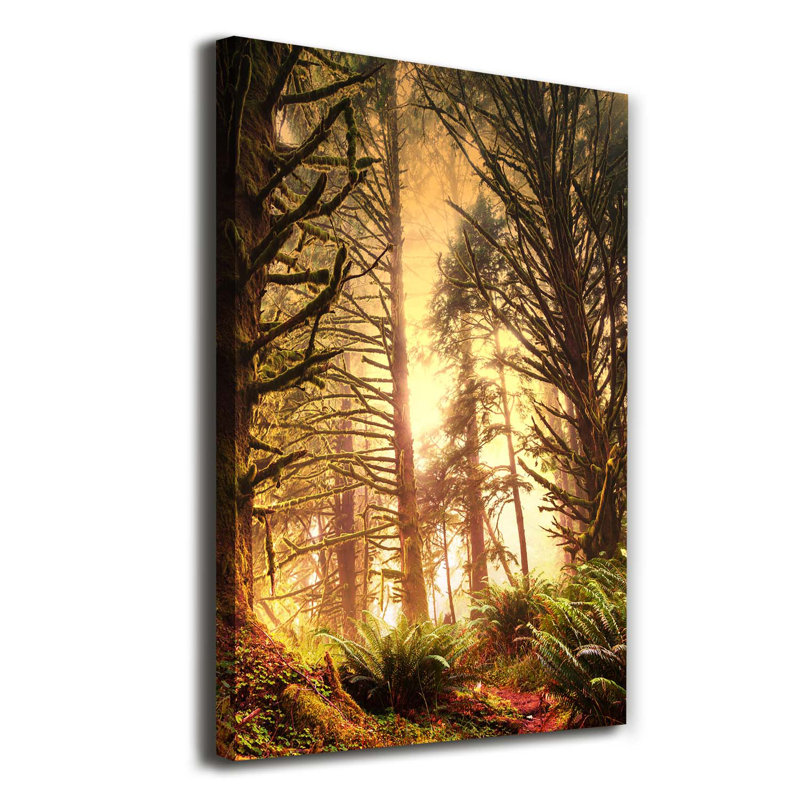 The Rainforest - Wrapped Canvas Print