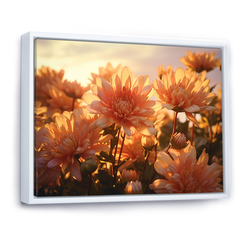 «Chrysanthemums Sunrise Field In Morning - Chrysanthemums», reproduction sur toile, Cadre flottant blanc