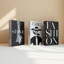 Fashion Decorative  Books (Set Of 3)