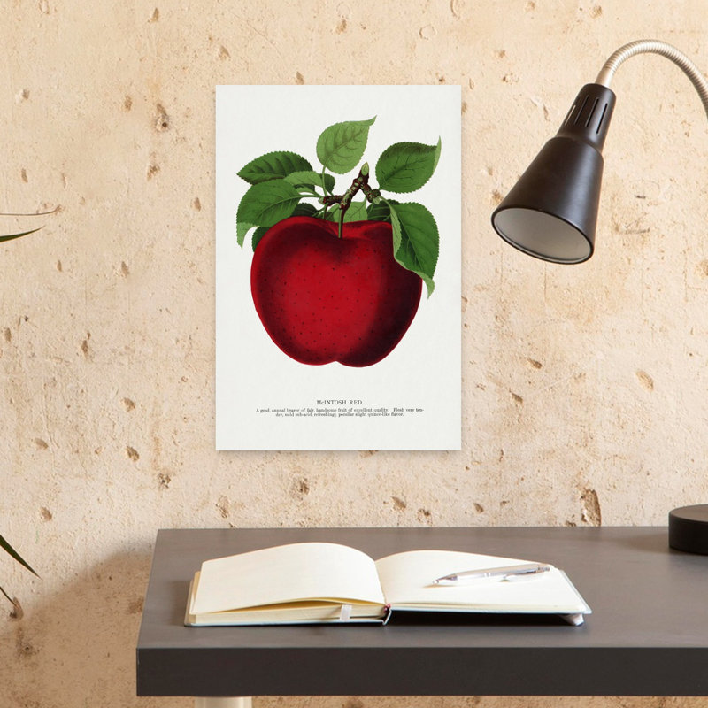 Art mural rétro Mcintosh Red Apple, H 18 po x l 12 po