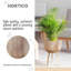 GAIA Tall Indoor Plant Pot Stand for House Plants with Waterproof Liner | Natural Wooden House Planter with Legs -92659218
