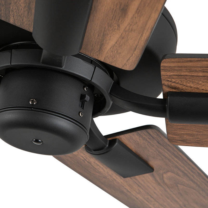 Erikson Ceiling Fan, Matte Black, Black