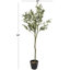 Plante artificielle contemporaine en pot