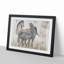 Two Horses by Zhao Mengfu - Framed Print-55614529-55614530