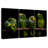 Yellow Crowned Parrots