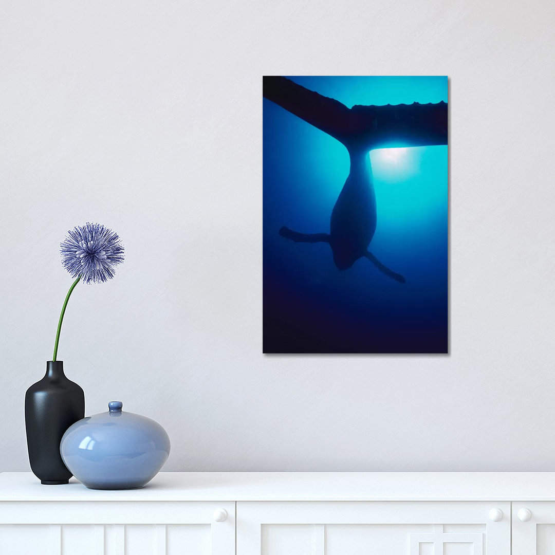 Humpback Whale Male Singing, Maui, Hawaii by Flip Nicklin - Wrapped Canvas Gallery-Wrapped Canvas Giclée