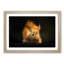 Red Squirrel - Framed Print-55598281-55598283