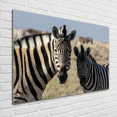 Two zebras 1 Piece Wall Art on Glass