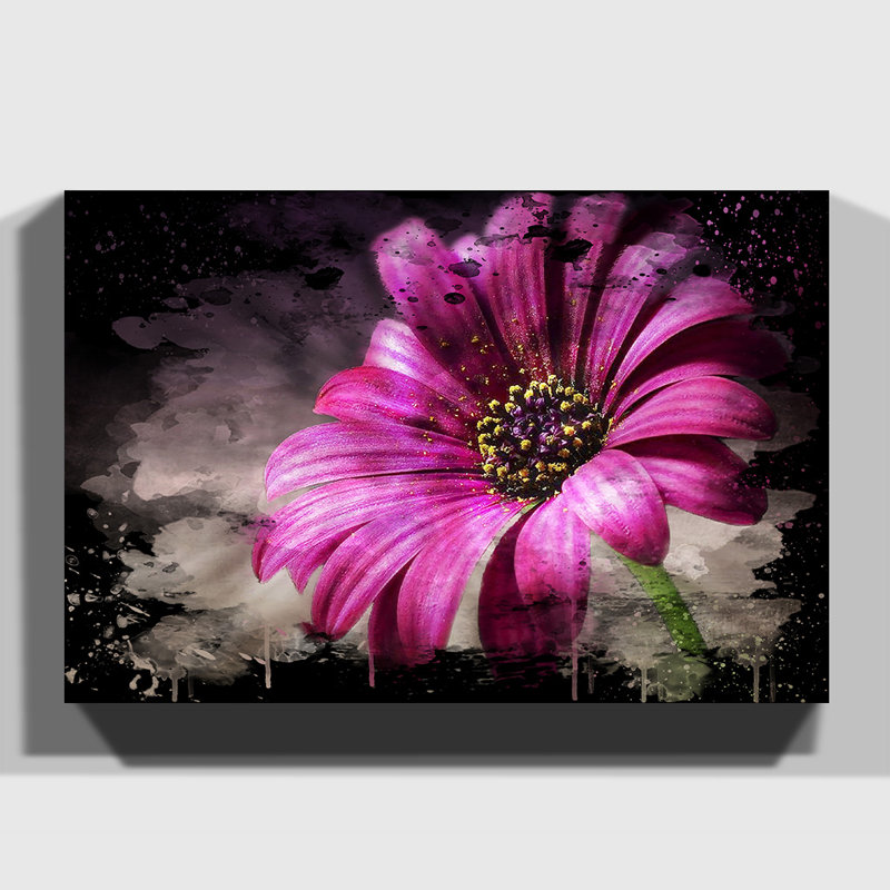 Wrapped Canvas Print, 50cm H x 76cm W