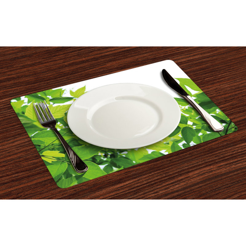Récapitulatif 18,5" plante