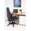 Jaguar Genuine Leather Executive Chair