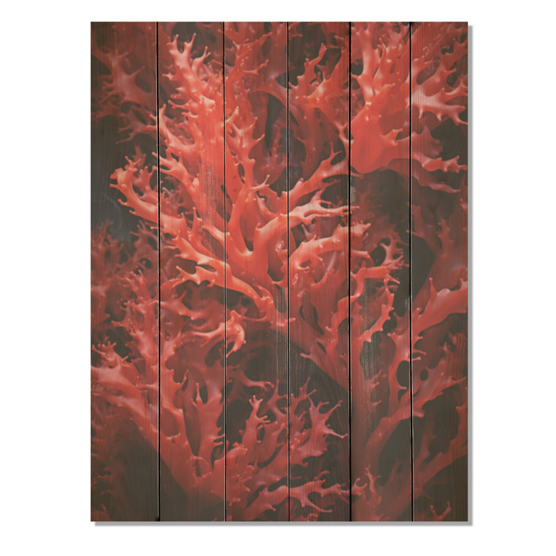 Gorgonacée rouge, monde marin - corail côtier sous l'eau, art mural sur bois de pin naturel, H 20 po x l 10 po