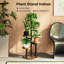 Plant Stand