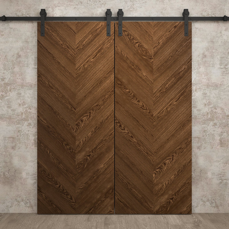 Porte de grange double moderne 56 po x 84 po | Chêne marbré Ego 5005 | Ensemble de rail 13 pi | Portes intérieures solides
