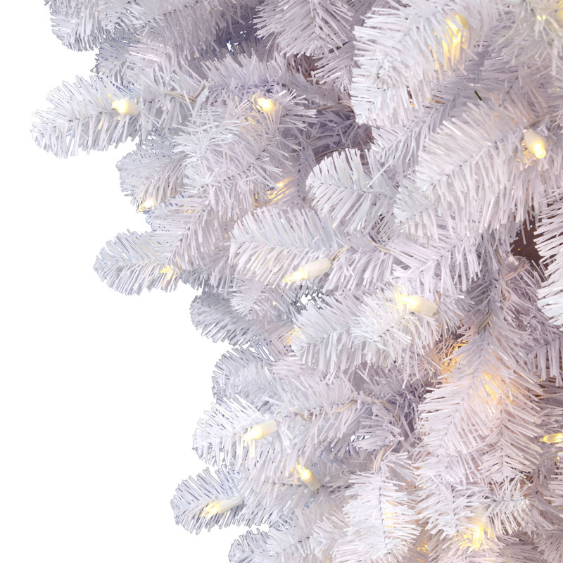 6' Lighted Pine Christmas Tree