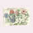 Toile tendue
