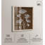«White Poppy I Shadowbox Print Boho Rustic Wall Art» par Art Remedy, cadre blond, 24 x 30-859711462-859711483