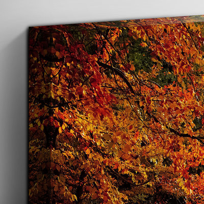 Fall Woodland Forest - Wrapped Canvas