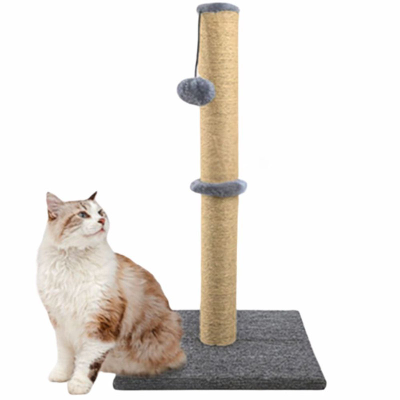 Grattoir pour chat