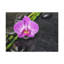 Wall Art on Canvas-1749073459