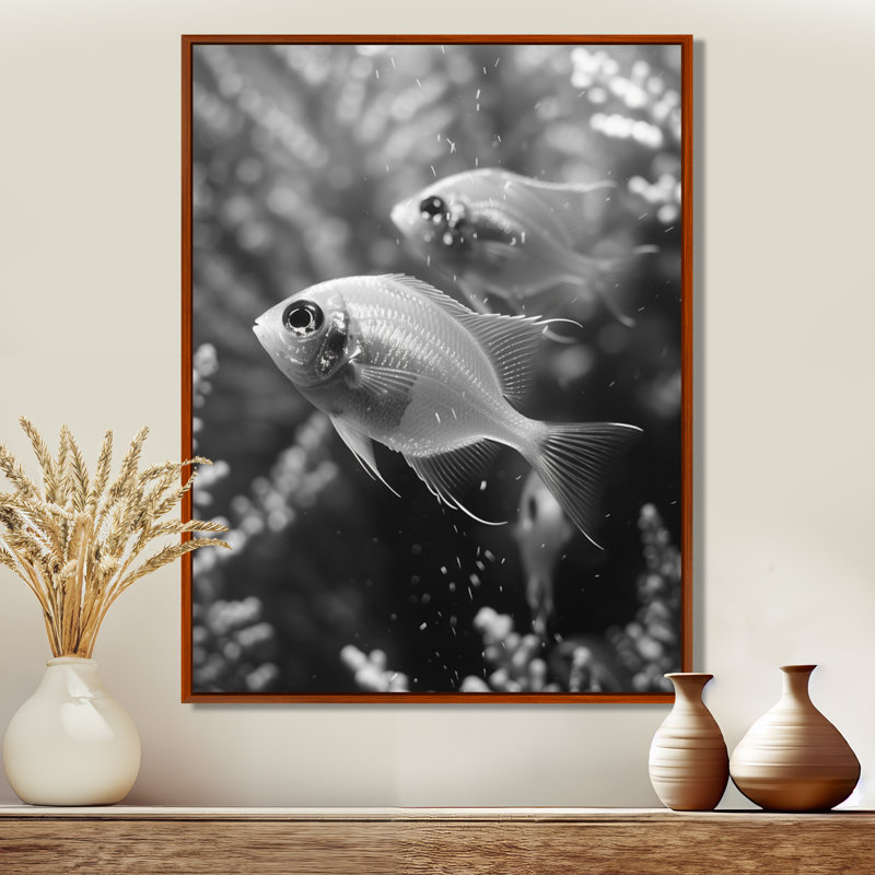 Monogramme d'aquariums de poissons gris gris - Aquariums, salon d'art mural, White Floater Framed, H 24 po x l 32 po