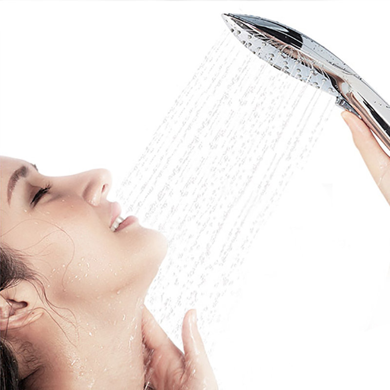Handheld Shower Head 2.5 GPM GPM