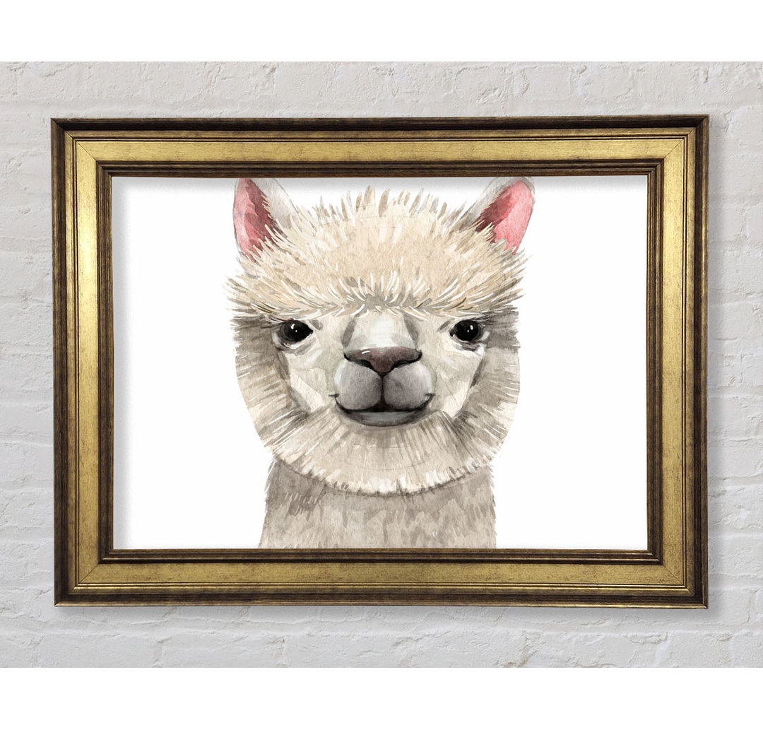 Llama Drama Gerahmter Druck