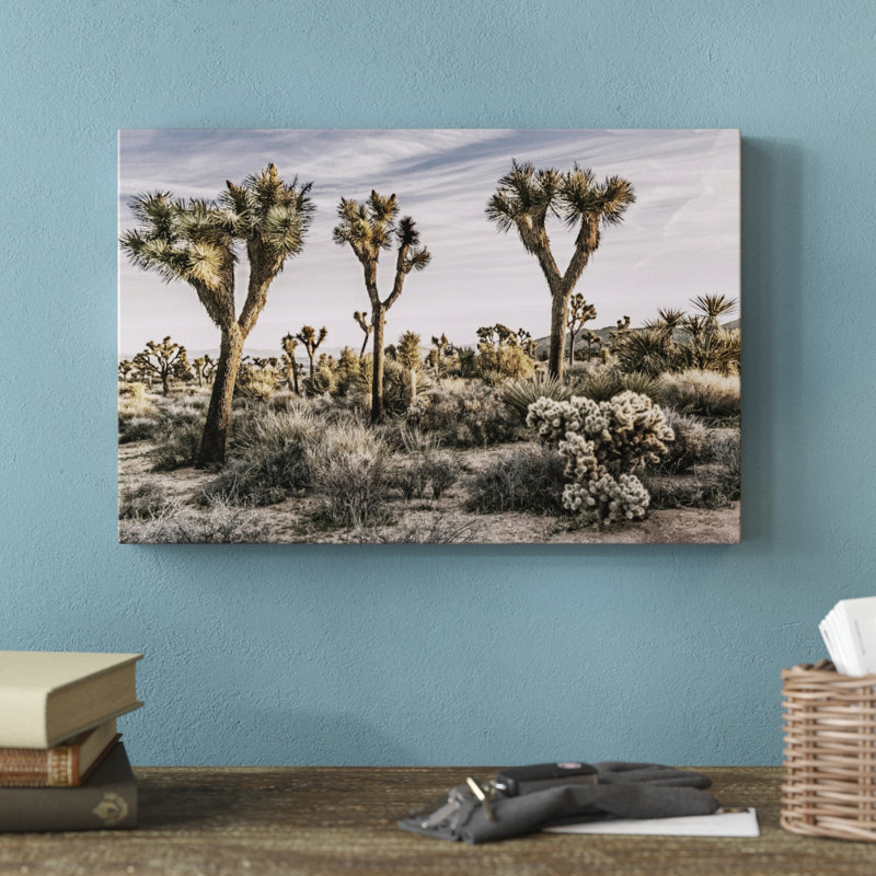 Views Of Joshua Tree IX by Rachel Perry - Print on Canvas, 20cm H x 30cm W, Wrapped Canvas