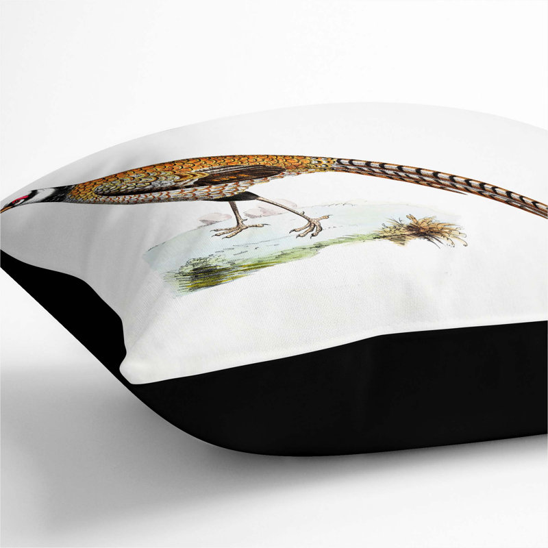 Square Throw Cushion, Black, 55cm H x 55cm W x 20cm D
