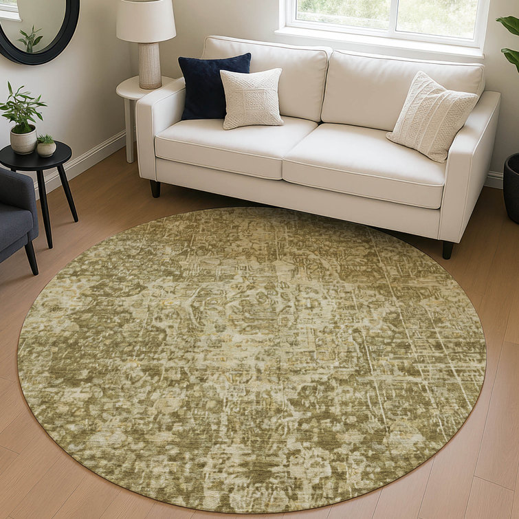 Machine Washable Indoor/Outdoor Claudian ACN1663 Brown Rug