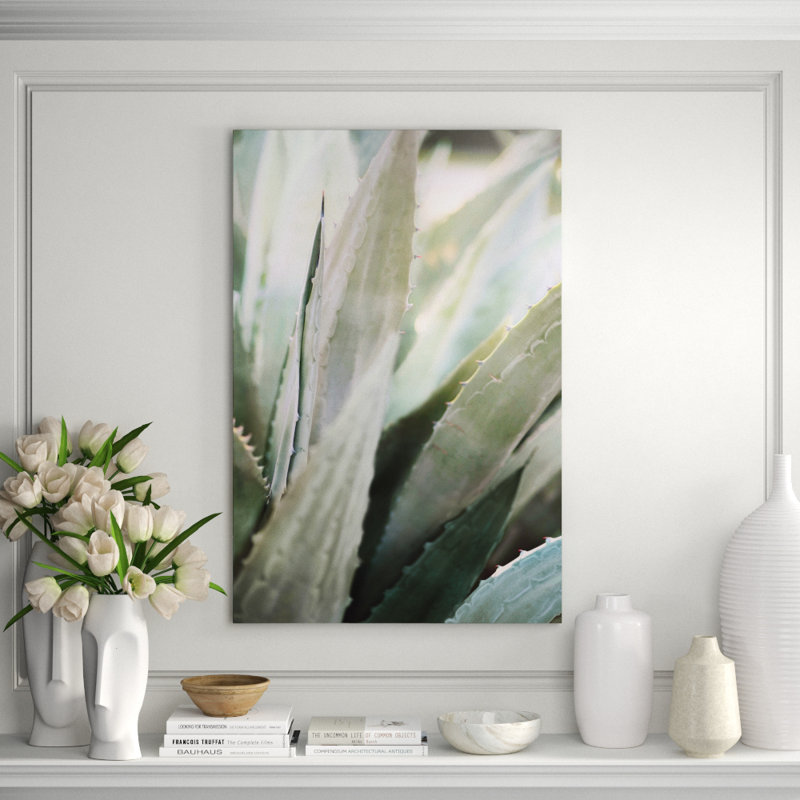 Winter Agave II Print by Alicia Bock, 36" H x 24" W x 1.5 " D