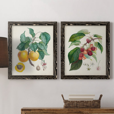 Abricot Peche - ensemble de reproduction d'art sur toile