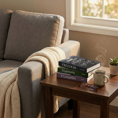 Livres décoratifs de divertissement (ensemble de 3)