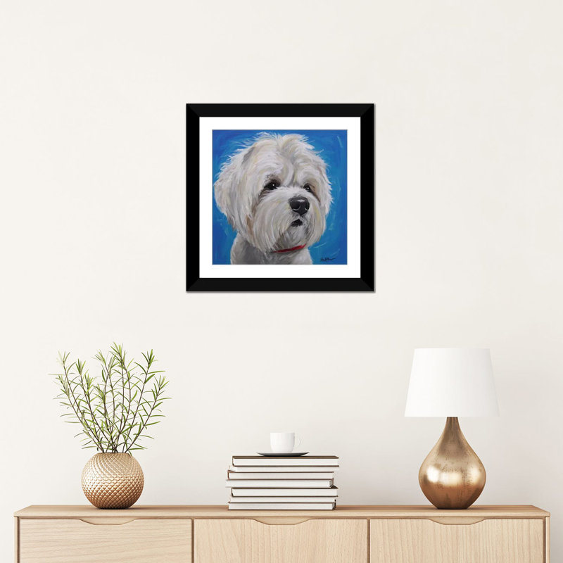 « maltais shihtzu mix pipa », reproduction sur toile tendue Hippie Hound Studios, Papier d'art encadré noir, Blanc