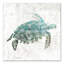 " Turquoise Sea Turtle "-24799602-24799605