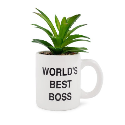 5.5'' Faux Succulent Plant in Ceramic Pot